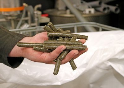 Christian zeigt die Hanfpellets