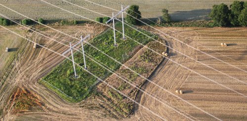 Ein Hochspannungsmast von oben mit Leitungen, die quer zu den abgeernteten Feldern verlaufen