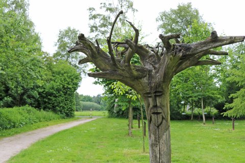 Im Vordergrund ist ein alter Baum mit einer geschnitzten Gesichtsmaske, während im Hintergrund ein schmaler Weg durch den Park führt.