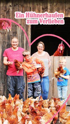 Plakat zum Anklicken für die Story "Ein Hühnerhaufen zum Verlieben"