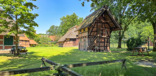 Grünes Wiesenland umgibt historische Gebäude mit Reetdächern, während Bäume an einem sonnigen Tag Schatten spenden.