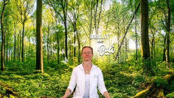Brillit statt Bali, Gestaltung: Stefan Niemeyer