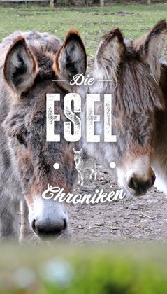 Plakat zum Anklicken für die Story "Die Esel-Chroniken"