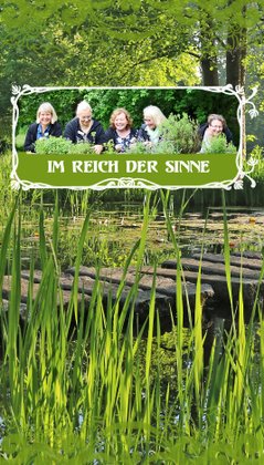 Plakat zum Anklicken für die Story "Im Reich der Sinne"
