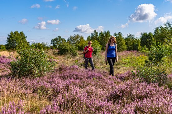 Zwei junge Frauen Wandern durch ein lilafarbenes Heidegebiet