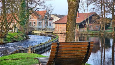 Blick vom Mühlenteich auf die Mühle
