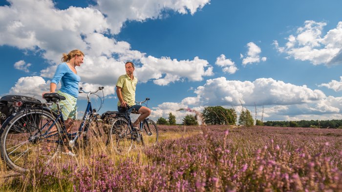 Ein Paar schiebt die Fahrräder durch die blühende Lüneburger Heide