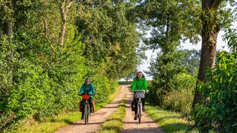 Zwei Radfahrerinnen sind auf dem Fahrrad unterwegs zwischen Wald und Feldern