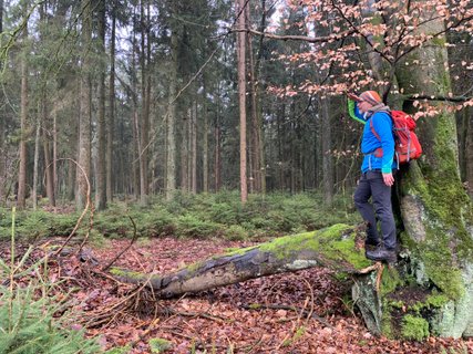 NORDPFAD Hinzel
