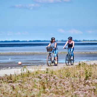 Zwei Frauen fahren bei strahlendem Wetter in der Wesermarsch direkt am Meer entlang