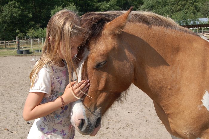 Ein Mädchen im hellen Kleid streichelt verträumt den Kopf eines braunen Pferdes