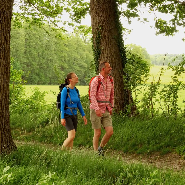 Ein wanderndes Paar ist in einer grünen Landschaft auf einer Allee unterwegs