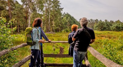 Ines Stein schaut am Aussichtspunkt im Großen und Weißen Moor in die Landschaft