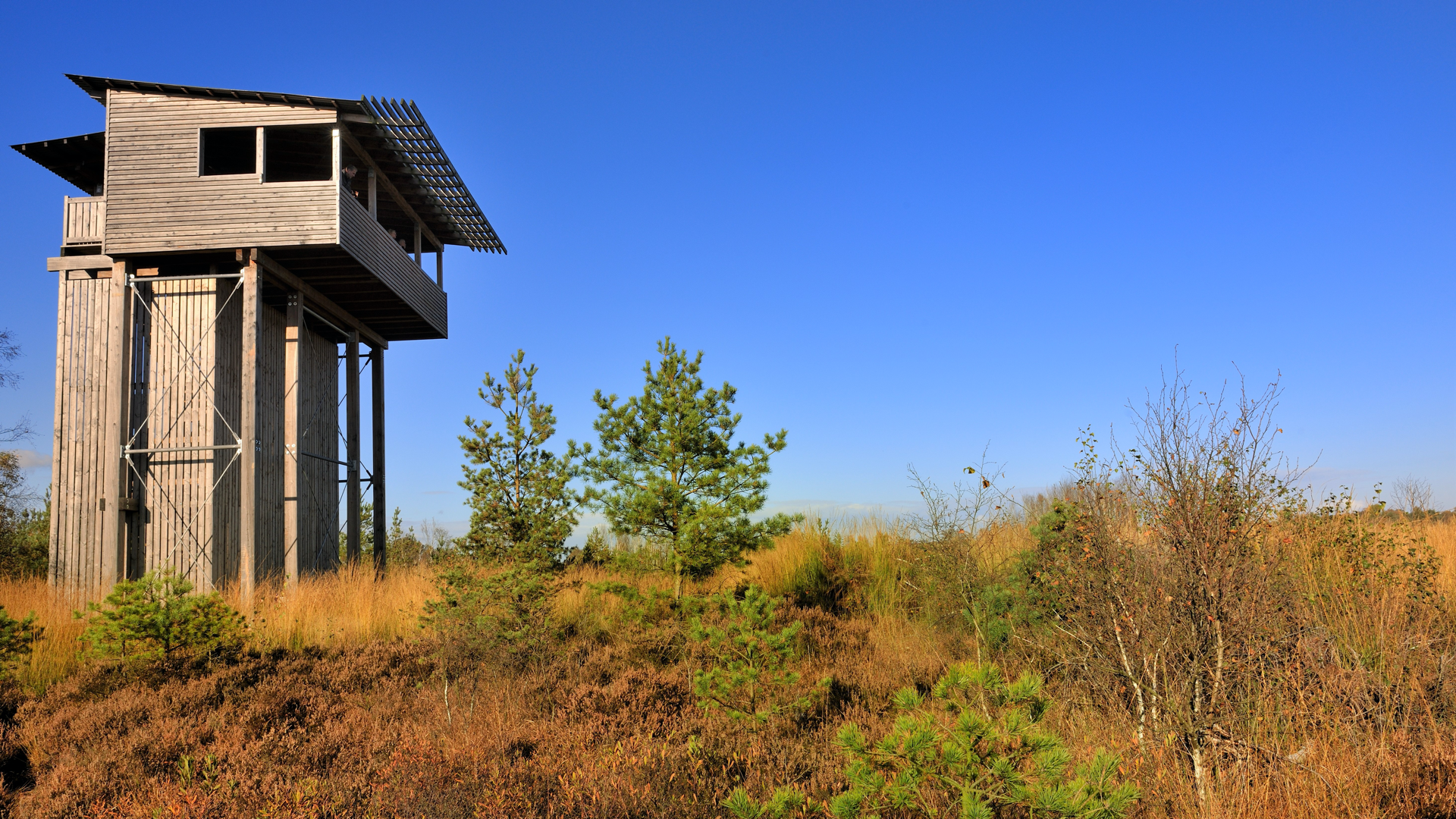 Blick auf den Aussichtsturm im Huvenhoopsmoor, Foto: Andreas Dittmer Heeslingen