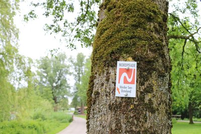 Das NORDPFADE-Schild Vörder See - Osteland weist an einem Baum den Weg