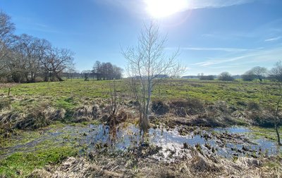 Landschaft bei Kirchwalsede Landschaft bei Kirchwalsede