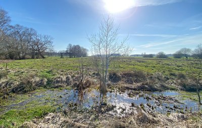 Landschaft bei Kirchwalsede