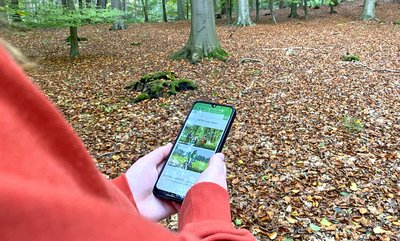 Ausflugsplanung überall in der Region