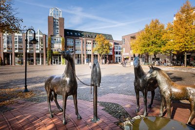 Statue und Marktplatz am Pferdemarkt in Rotenburg, Foto: Markus Tiemann - Stadt Rotenburg (Wümme)