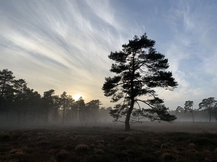 NORDPFAD Rotenburger Wasserreich