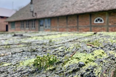 Mit Moos bewachsener Brunnen vor dem Bauernhaus Eckes Hus