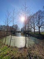 Fischteich im frühen Frühling