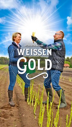 Auf der Suche nach dem weißen Gold, Gestaltung: Stefan Niemeyer