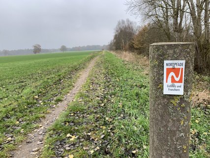NORDPFAD Eichholz-Franzhorn