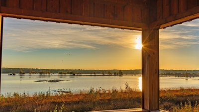 Kraniche im Tister Bauernmoor, Foto: Björn Wengler Fotografie Kraniche im Tister Bauernmoor, Foto: Björn Wengler Fotografie