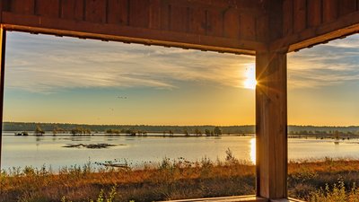 Kraniche im Tister Bauernmoor, Foto: Björn Wengler Fotografie