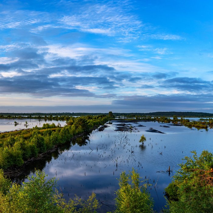 Tister Bauernmoor, Foto: Björn Wengler Fotografie