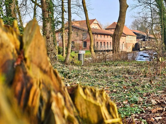 Holzstamm und Wassermühle