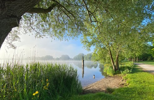 Der Vörder See im Morgennebel, in ihm das Kunstwerk Seemann und müde Enten