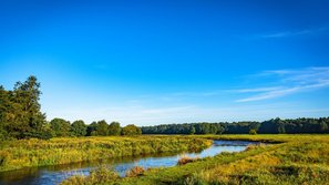 Die Wümme bei Hellwege ist ein Ort zum Auftanken