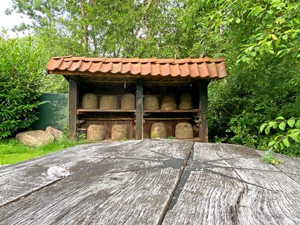 Bienenstöcke am Heimathaus Fintel