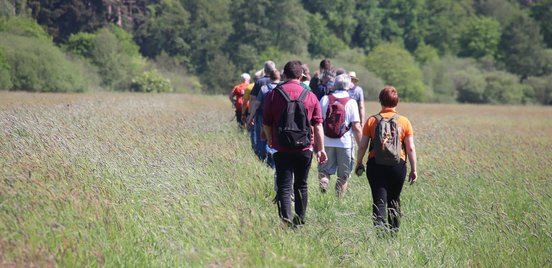 Eine Tour vom Tag des Wanderns von hinten