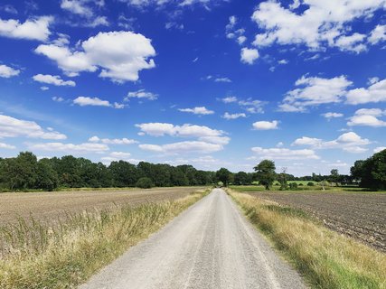 NORDPFAD Tarmstedter Moor