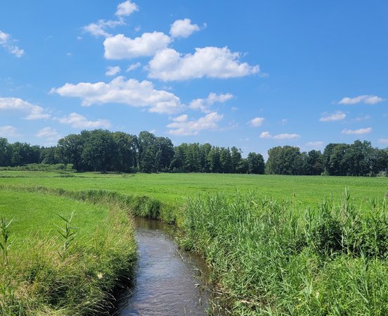 Fluss in der Botheler Natur mit grünen Wiesen und blauen Himmel