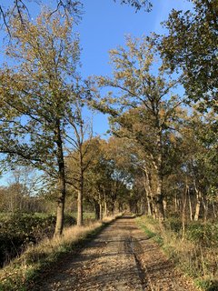 NORDPFAD Hinterholz Hohenmoor