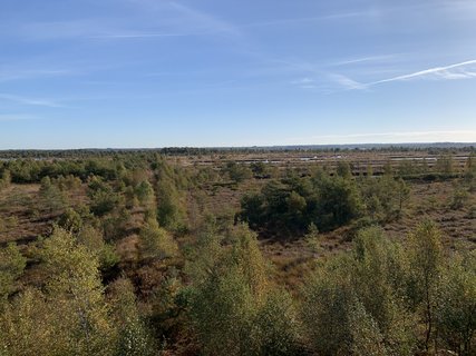 NORDPFAD Huvenhoopsmoor