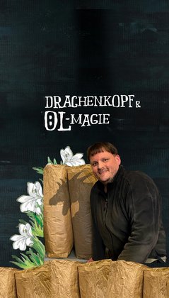 Drachenkopf und Öl-Magie, Gestaltung: Stefan Niemeyer