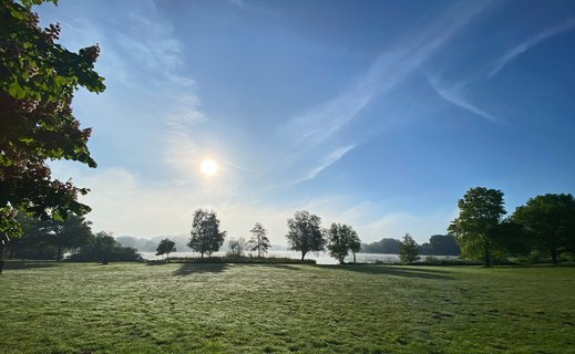 Vor dem Vörder See im Morgennebel erstreckt sich eine große grüne Wiese