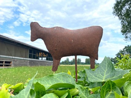 Kuh-Deko vor dem Färsen-Stall