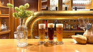 Theke mit drei Sorten Bier vor dem Zapfhahn in der Gasthausbrauerei Selsinger Hof