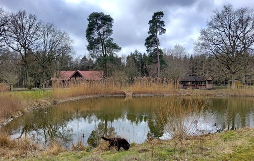 Teich im LandPark Lauenbrück