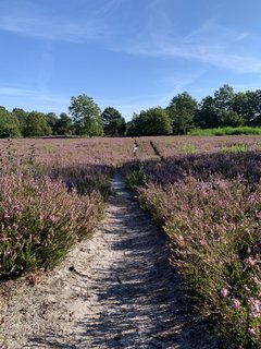 NORDPFAD Wümme - Vareler Heide