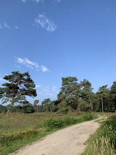 NORDPFAD Dör't Moor