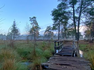 Schwingbrücke im Tister Bauernmoor