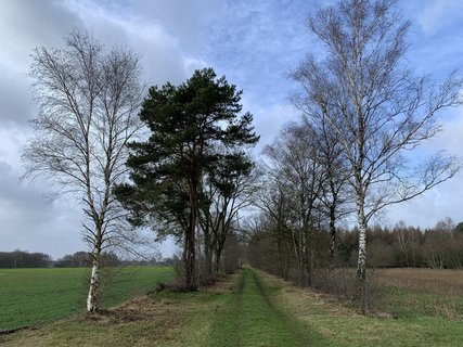 NORDPFAD Haxloher Erde