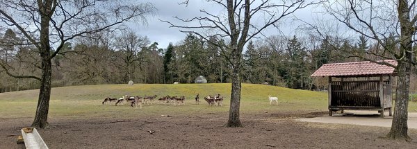 Viel Platz für das Wild im LandPark